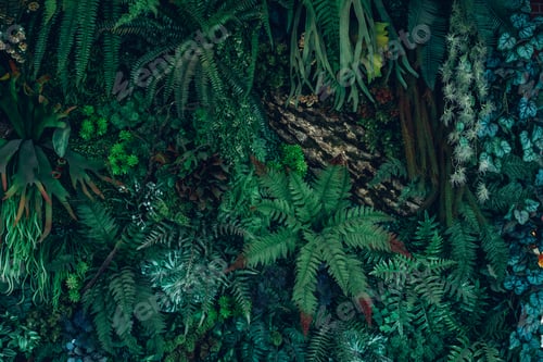 Vista previa: Close up group of background tropical green leaves texture and abstract background.