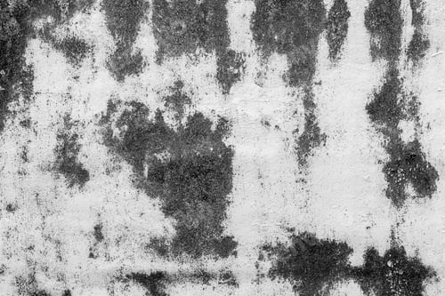 Preview: old white concrete wall texture