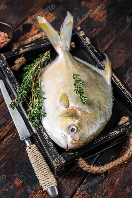 Preview: Raw fish butterfish or pompano with herbs in a wooden tray. Dark wooden background. Top view