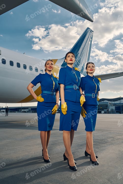 Preview: Group of stewardesses standing on the aerodrome