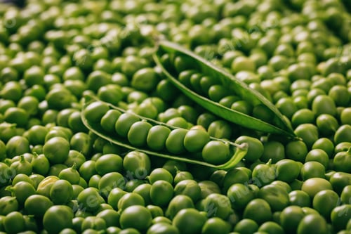 Preview: Fresh green peas background