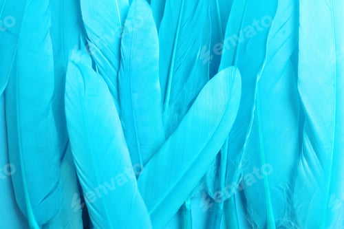 Preview: Many beautiful light blue feathers as background, top view