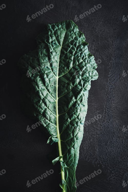 Preview: Fresh Green Kale Leaf on Dark Background