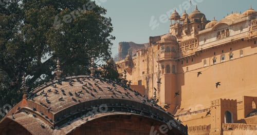 Preview: Pigeons Sitting On One Of Roofs Of Gate. Amer Fort Or Amber Fort Is Visible In Background. Amber