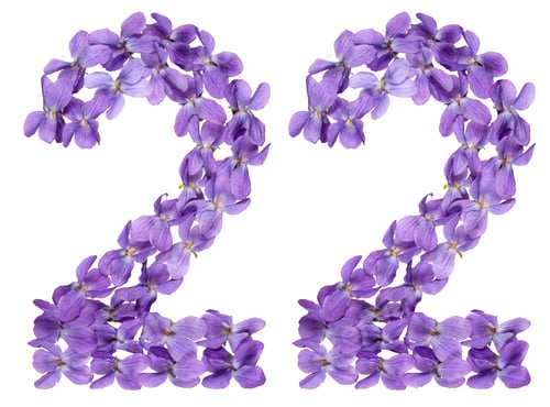 Preview: Arabic numeral 22, twenty two, from flowers of viola, isolated on white background