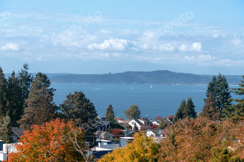 Preview: Puget sound viewed with Autumn tree Seattle neighborhood. RLTheis