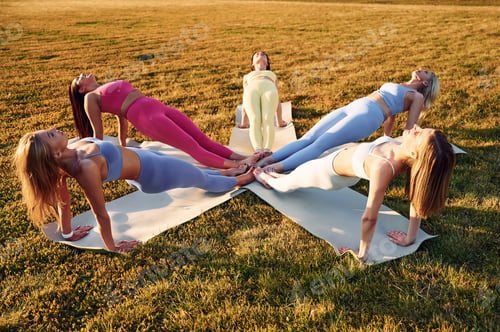 Preview: Doing upward plank. Group of women have fitness outdoors on the field together