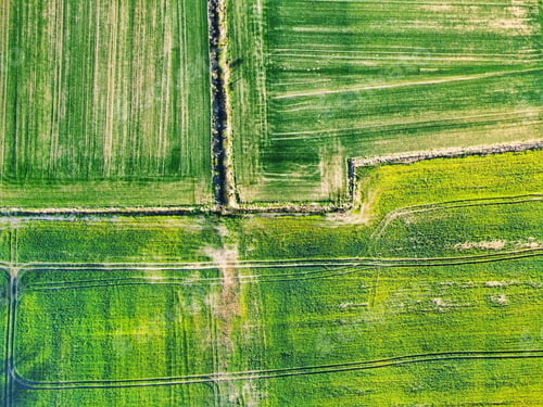 Preview: Early spring background - drone shot of a green field
