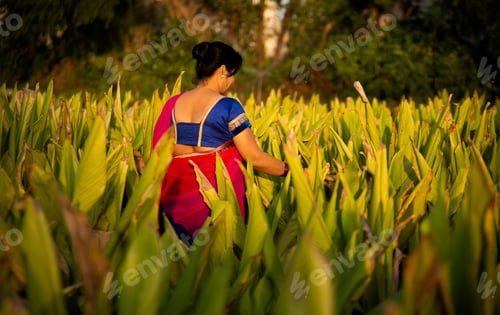 Preview: Happy woman walking in the turmeric field.