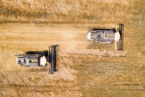 Preview: Aerial view of combine harvesters harvesting large yellow ripe wheat field