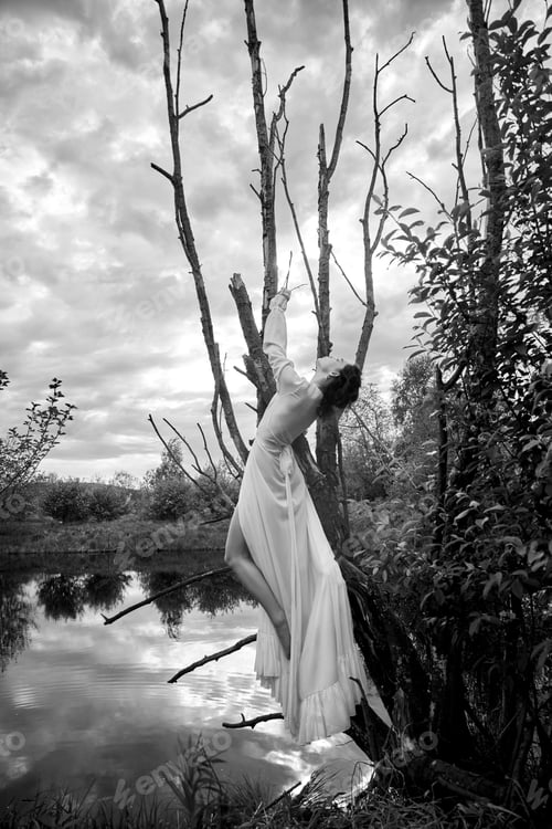 Preview: Fantastic fairy beautiful woman in white long dress on old dry tree. Girl princess in swamp. Fashion