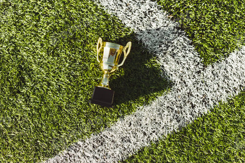 Preview: Golden champion cup on football field corner, evening light