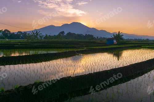 Preview: Beautiful morning view indonesia, Panorama Landscape paddy fields with beauty color and sky natural