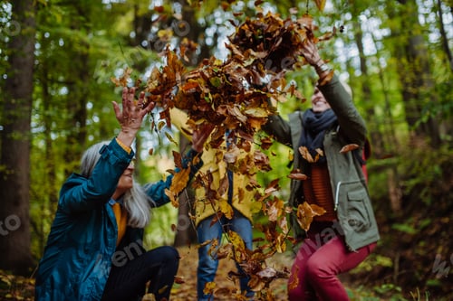Preview: Happy little girl with mother and grandmother having fun with leaves during autumn walk in forest