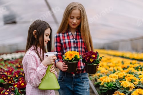 Preview: Girls watering flowers in the garden