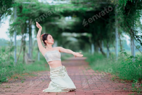 Preview: chinese dancing