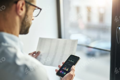 Preview: Checking the data in documents and in the electronic storage