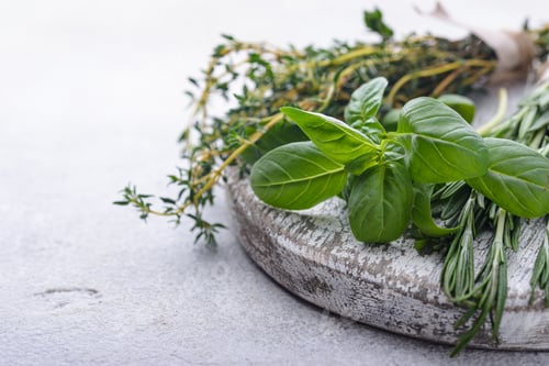 Preview: Rosemary, thyme and basil. Fresh garden herbs