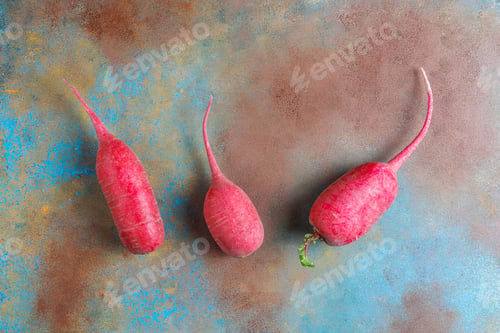 Preview: Various fresh radishes,white radish,long pink radish and black radish.
