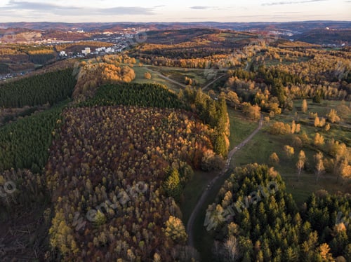 Preview: High angle shot of the beautiful trees on a fields captured at day time