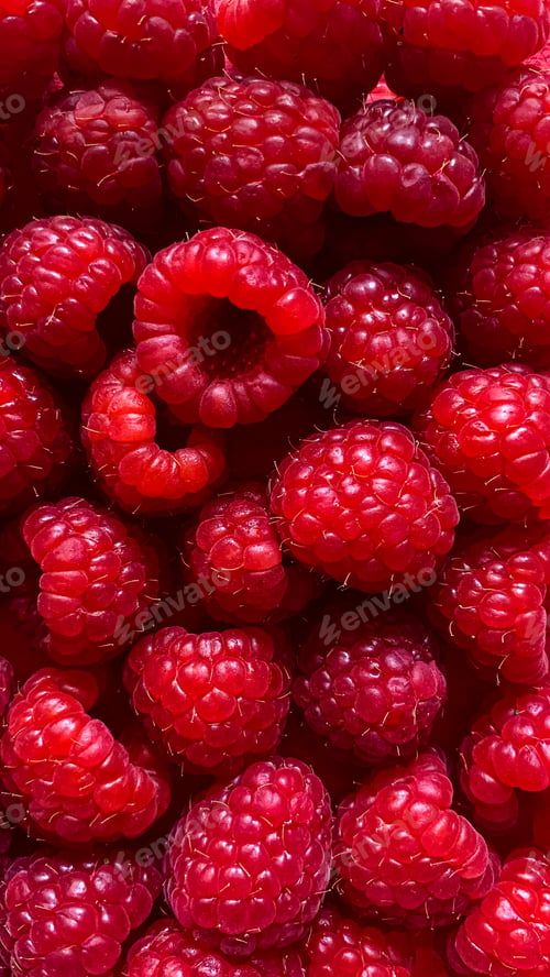 Preview: Raspberry background. Fruit full frame texture pattern fresh organic berries