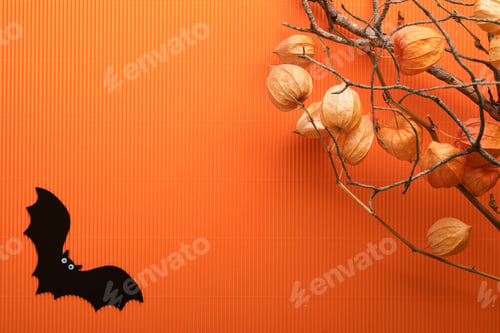 Preview: Halloween holiday background. Orange pumpkin, bat with funny eyes, spider, spider web, old leaves an