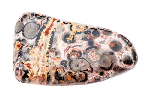 Preview: polished Leopard skin jasper gem stone isolated