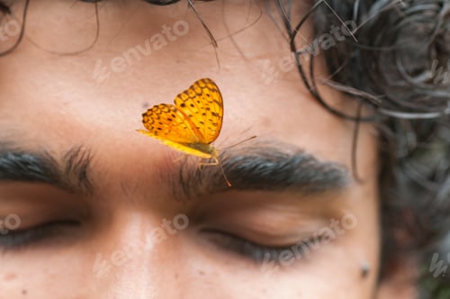 Preview: Butterfly sitting on a young man’s face, Symbiosis of man and nature.
