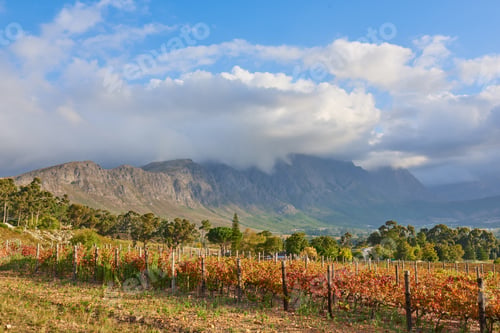 Preview: Stellenbosch district