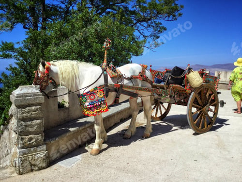 Preview: Traditional sicilian cart