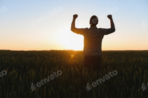 Preview: silhouette of man looking at beautiful landscape in a field at sunset.