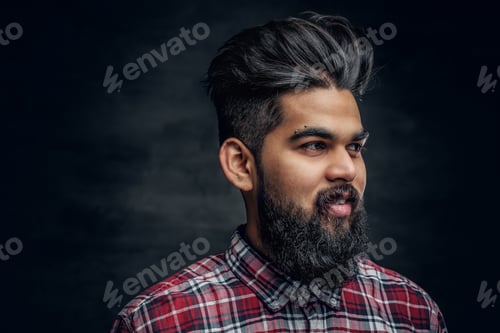 Preview: Attractive bearded Indian man in plaid fleece shirt.