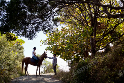 Preview: Horse riding, Pakiri Beach, Auckland, New Zealand