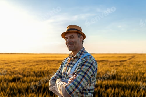 Vista previa: Retrato de un granjero sonriente de pie en un campo de trigo al atardecer mirando a la cámara.