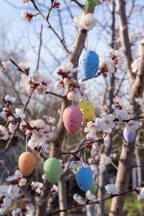 Preview: Flowering trees with hanging Easter colored eggs. Garden decoration for Easter. Easter composition.