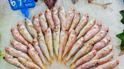 Preview: Fish Food in a Fish Market Stand