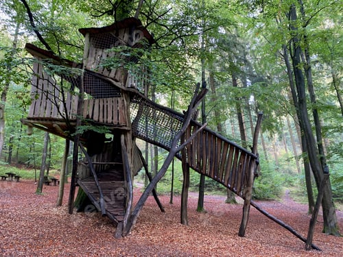 Preview: Wooden treehouse in a forest