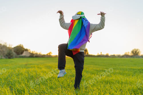 Preview: A person with a rainbow flag exploring virtual reality in a green meadow and doing kung fu