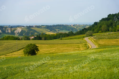 Preview: Rural landscape near Castell Arquato at springtime