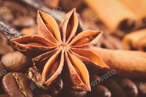 Preview: Vintage photo, Closeup of anise, vanilla, cinnamon sticks and coffee grains