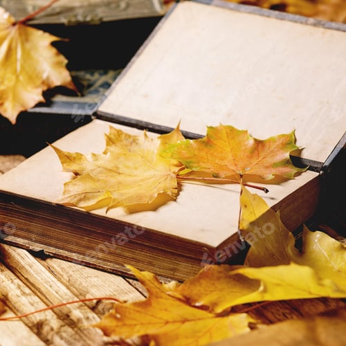 Preview: Books and autumn leaves