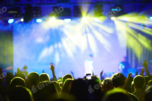 Preview: Audience at concert