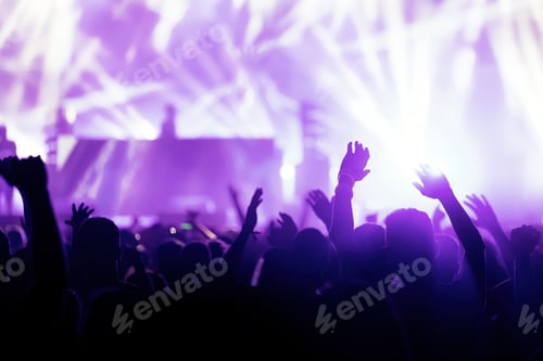 Preview: Picture of dancing crowd at music festival