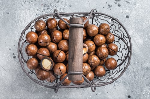 Preview: Macadamia organic nuts in a basket. Gray background. Top view