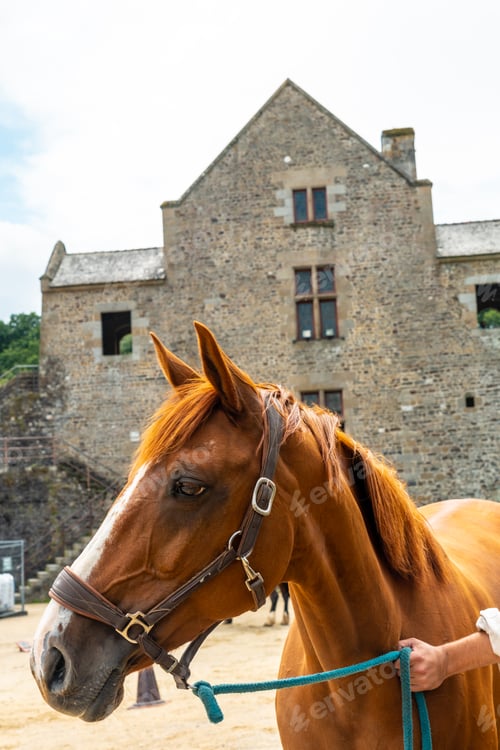 Preview: Medieval show with horses inside the castle of Fougeres. Brittany region, France