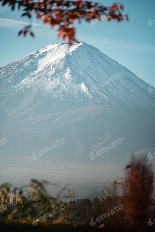 Preview: banner background of tropical forest landscape scene for using in concept of environmental