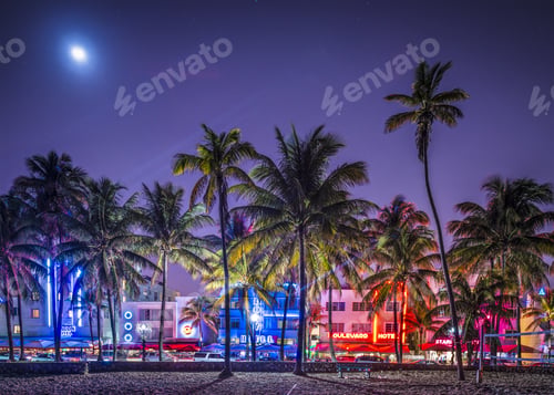 Preview: Miami, Florida - January 6, 2014: Palm Trees Line Ocean Drive. The Road Is The Main Thoroughfare