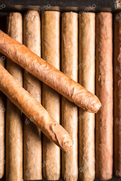 Preview: Wooden humidor full of cigars