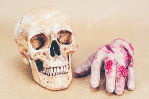 Preview: human skull anatomy on background, vintage filter image