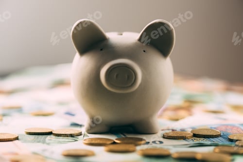 Vista previa: Piggy moneybox with euro cash
